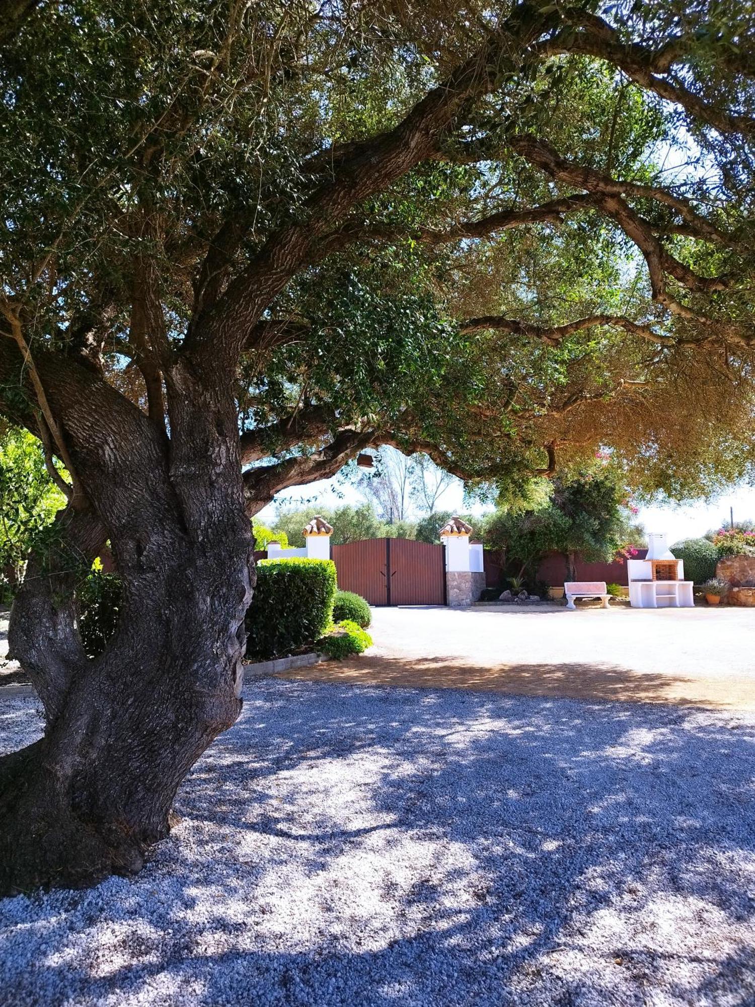 Vivienda Rural Los Madronos Malcocinado  Extérieur photo