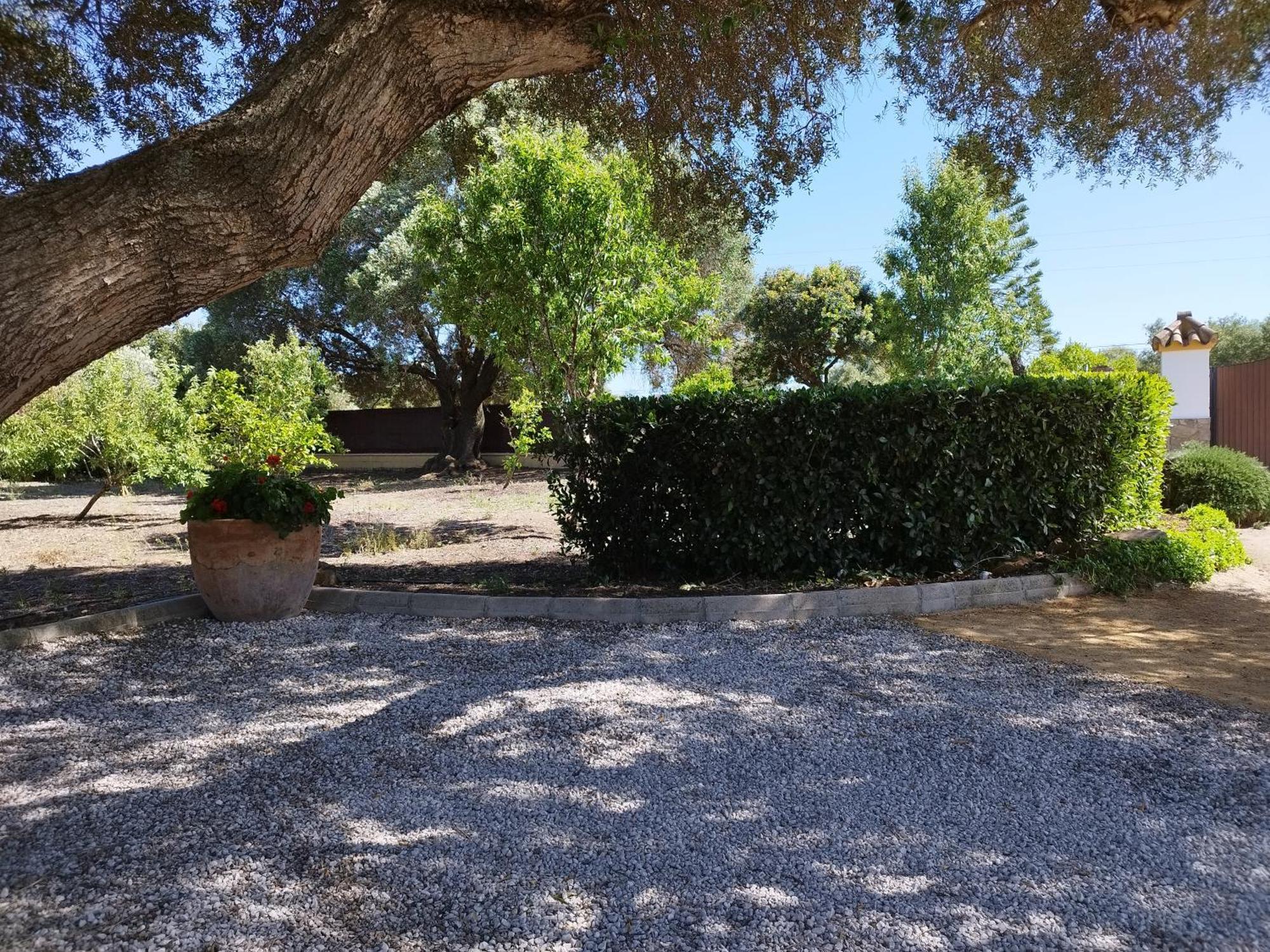 Vivienda Rural Los Madronos Malcocinado  Extérieur photo